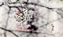 跟杜甫苏轼学写作，四首春天来了古诗词绝唱，背下来作文用得上！