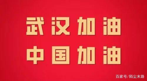 最美逆行者 武汉加油中国加油作文500字