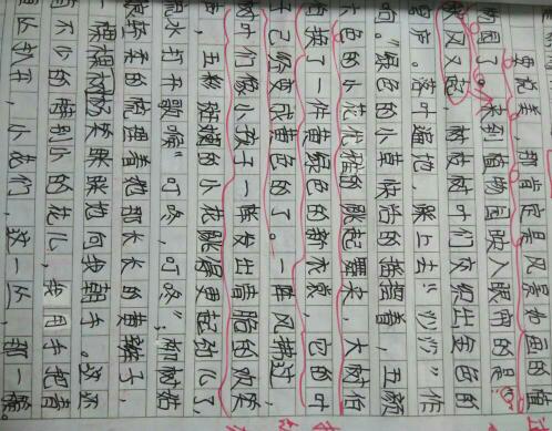 初二写景作文：朦胧的雨夜_500字