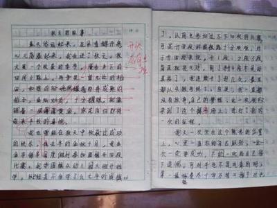 读了很多书还是不会写作文？这三个作文技巧，很多老师没有讲到 1