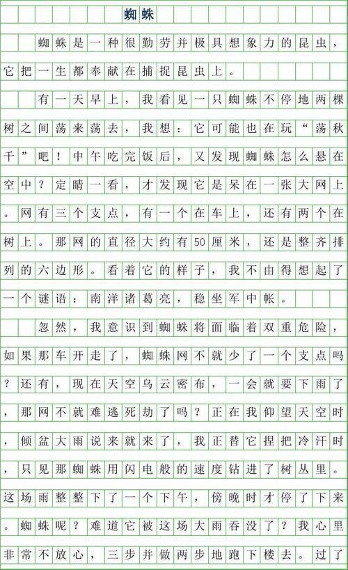 蜘蛛 优秀状物作文600字
