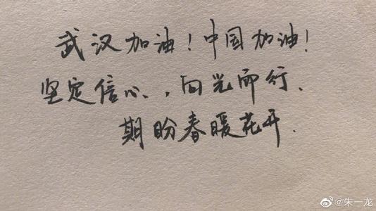 静候春暖花开 武汉加油！中国加油！作文900字