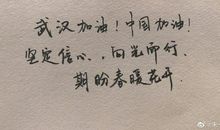 静候春暖花开 武汉加油！中国加油！作文900字