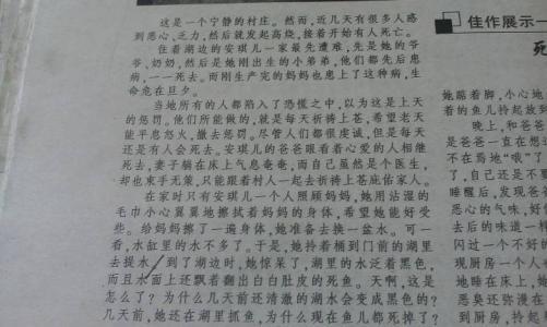 一封来自森林的抗议书 优秀书信作文400字