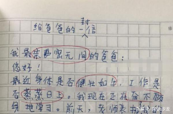 小学生满分作文,老师批改感慨万千,网友直呼太有才了 2