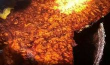 男子花天价买了个巨型大葫芦，切开后感觉自己捡到宝了！