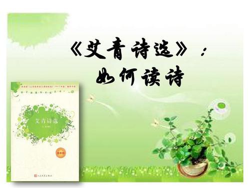 种下一颗爱国心 读我最喜欢的名著《艾青诗