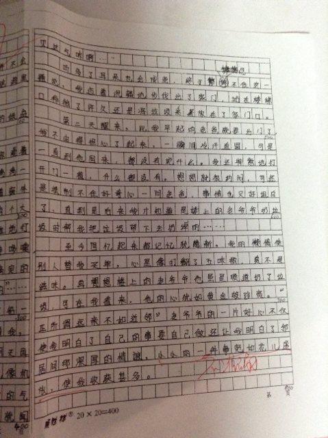 当网络遇上作业-写事的作文900字