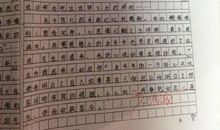 当网络遇上作业-写事的作文900字