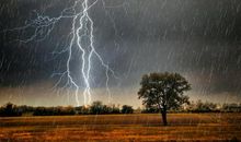 潍坊砺智小橘灯作文推荐：家乡的雷雨