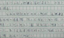 懂它就爱它作文