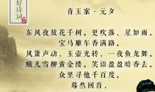 名人故事：辛弃疾的童年故事_500字