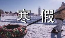 快乐的寒假生活初二作文