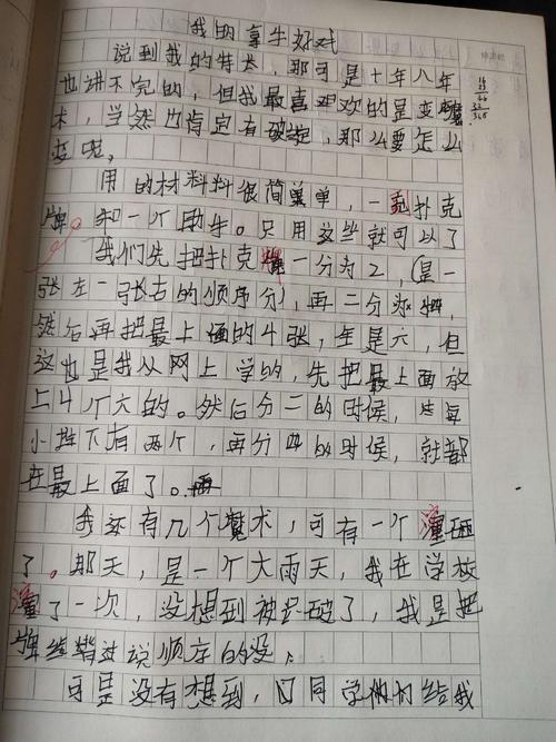 我的拿手好戏――沙画-写事的作文600字