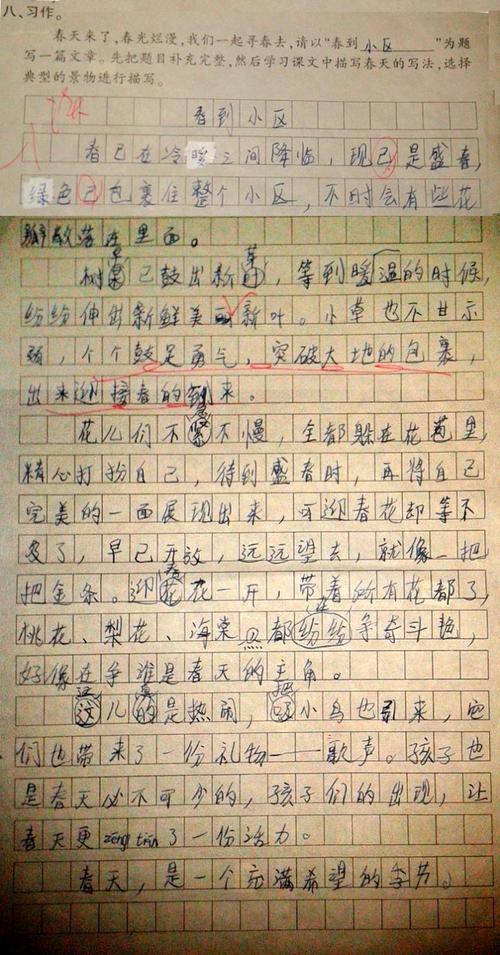 小区里的猫儿们-优秀状物作文300字