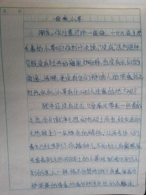 坚持-小草的启示作文200字