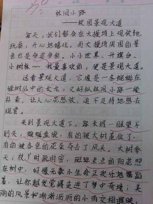 美丽乡村-小学写景作文300字