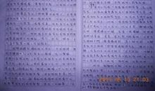 爱成习惯-关爱的作文600字