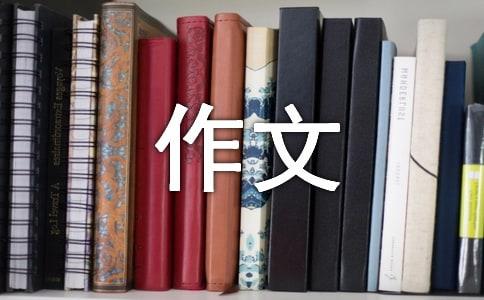 我与英雄的对话高一作文