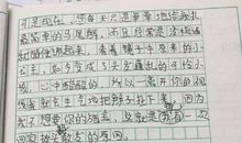 关于母亲节的作文：妈妈的节日_300字