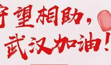 为武汉加油 不一样的新年作文500字