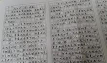 2011北京高考高分作文：谁与争锋_900字