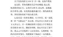 我家的“武侠剧场” 记叙文范文800字