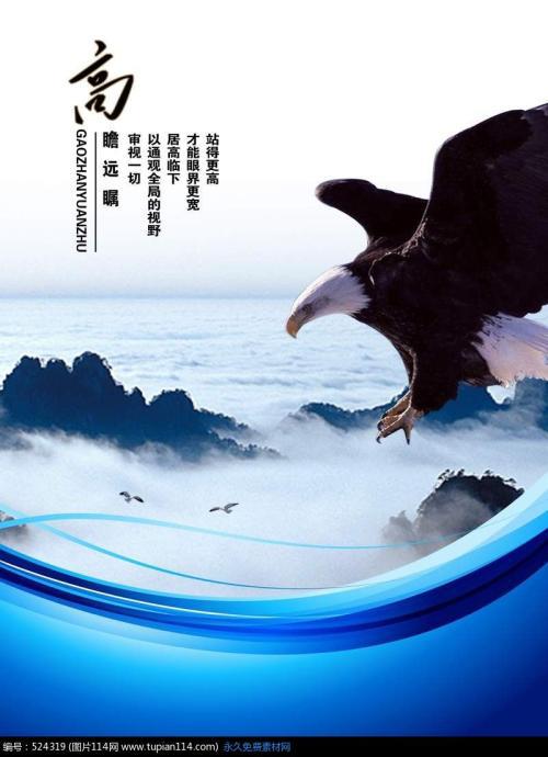 放飞梦想，雄鹰展翅_1500字