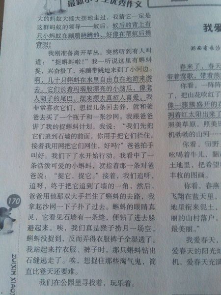 初一议论文：收获_450字