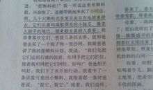 初一议论文：收获_450字