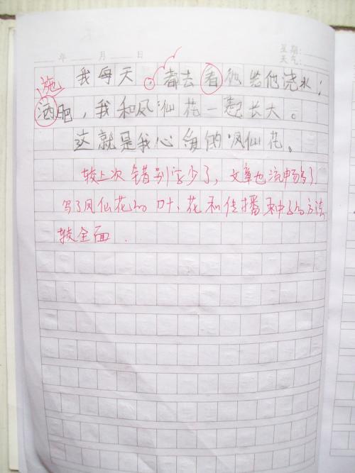 一朵凤仙花-难忘的童年记忆作文700字