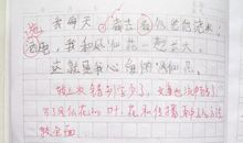 一朵凤仙花-难忘的童年记忆作文700字