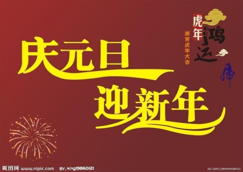 难忘元旦_650字
