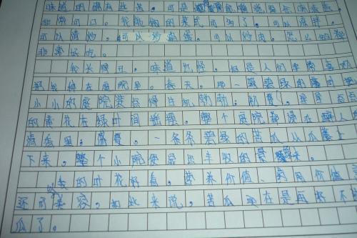 我的奶奶-小学写人作文400字