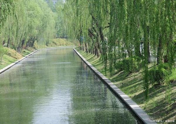 《红楼梦》读后感:人生只似风前絮