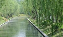 《红楼梦》读后感：人生只似风前絮