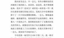 今年的第一场雪_500字