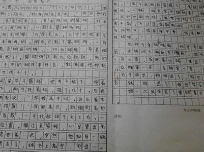 起步 初一记叙文600字