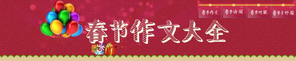 快乐的春节_650字