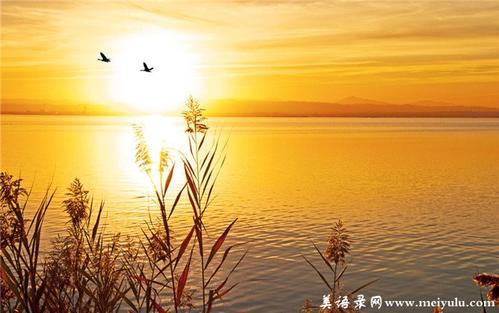 离家前的落日-随笔700字