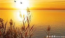 离家前的落日-随笔700字