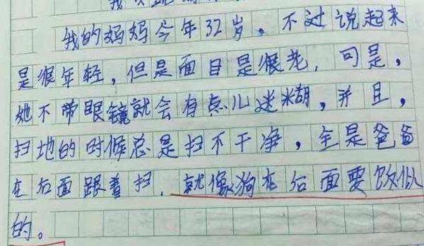 小学生作文只有“9个字”,改卷老师却意外给满分,网友:人才 3