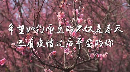 我们，静候春暖花开-给抗疫英雄的一封信700字