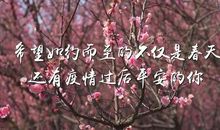 我们，静候春暖花开-给抗疫英雄的一封信700字