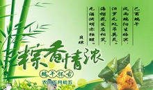 端午节作文：端午看龙舟_500字