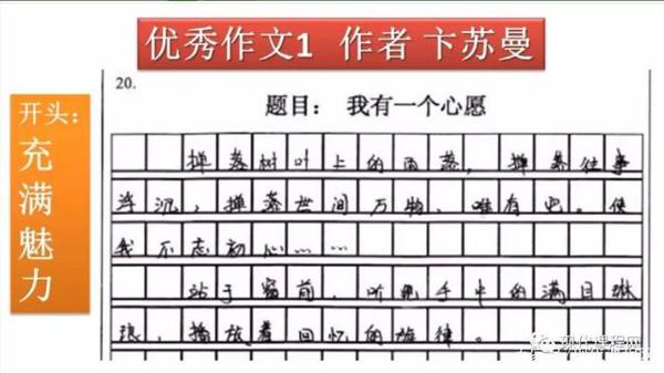 朱苏兰:语文期末试卷讲评——基础题、阅读理解题与作文题 22