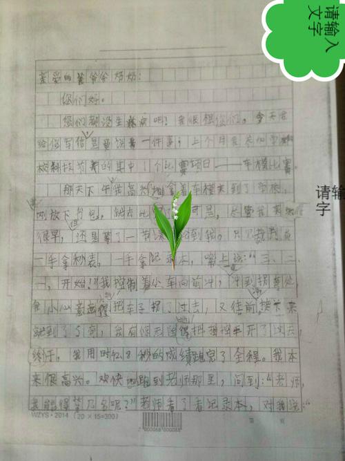 奶奶的遗愿 初中写事作文800字
