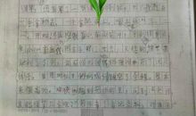 奶奶的遗愿 初中写事作文800字