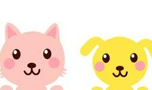 读后感丨月满西楼：读《笨笨的流浪》有感