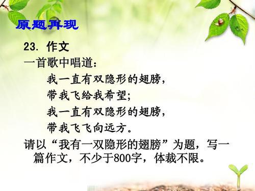 2009北京卷高考同题作文：我有一双隐形的翅膀（郑渊洁）_800字